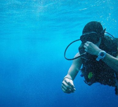 best dive watches under 500
