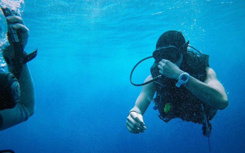 best dive watches under 500