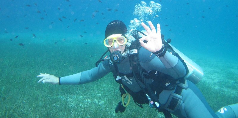 basic scuba diving hand signals