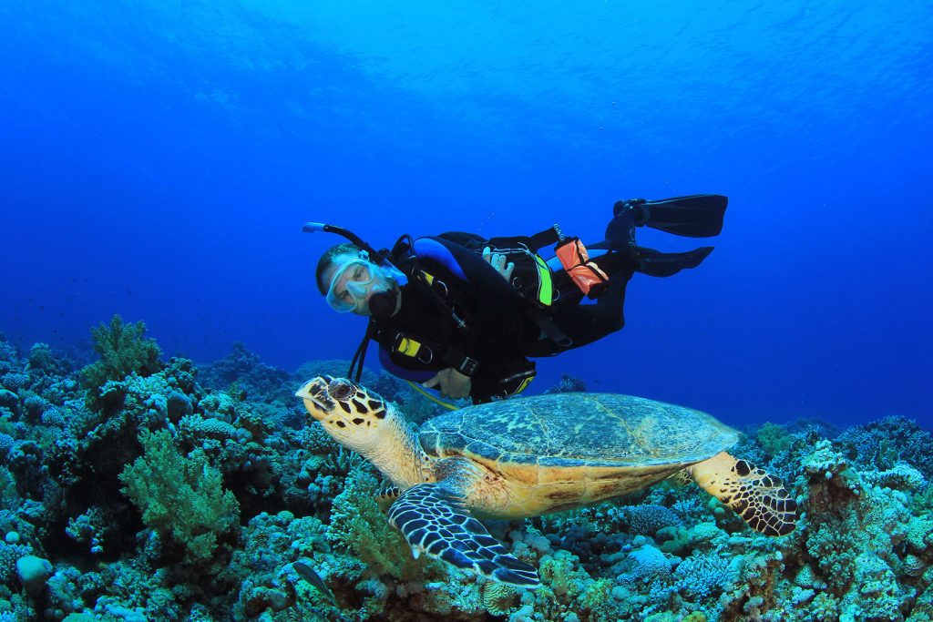 places to scuba dive in Mexico