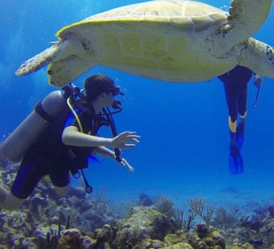 places to scuba dive in Mexico