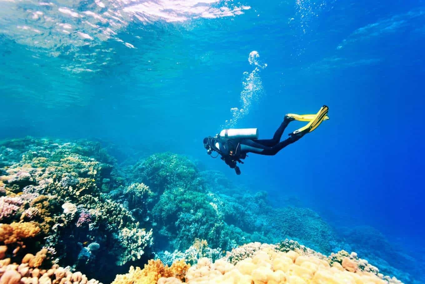 How to Breathe While Scuba Diving Underwater Breathing Tips