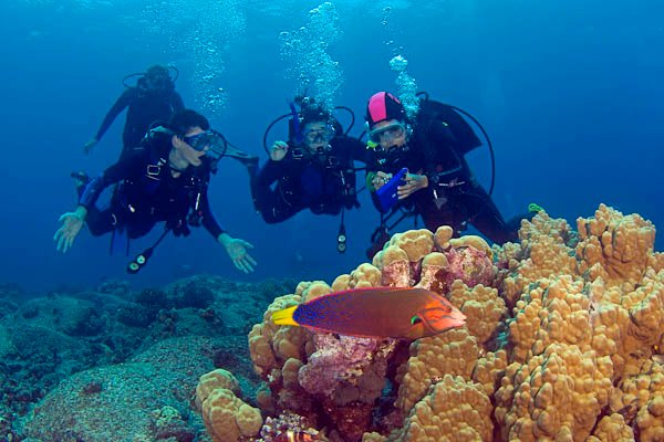 scuba diving holidays for beginners