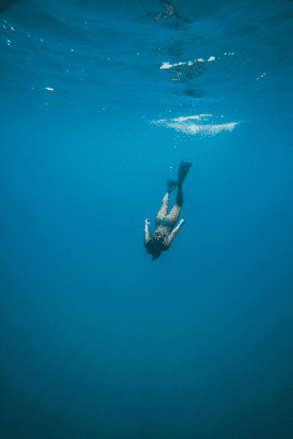 What is the Mammalian Diving Reflex? All You Need to Know