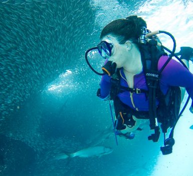 scuba diving holidays for beginners