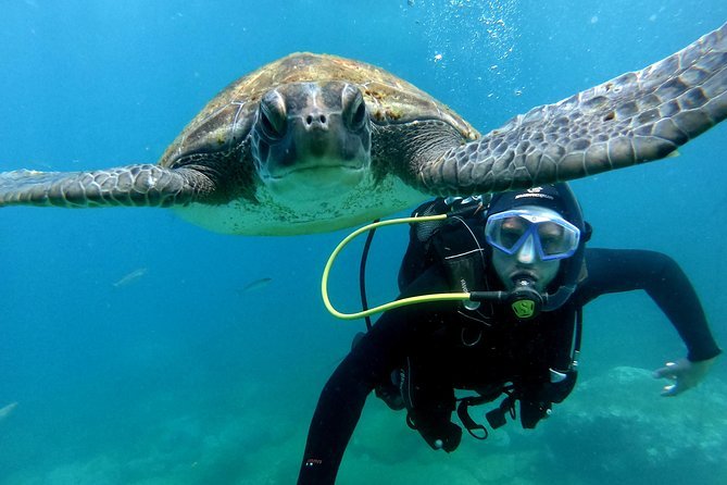 best place to scuba dive in Hawaii