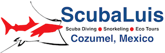 best dive shops in Cozumel