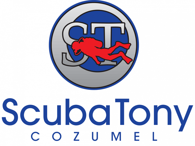 10 Best Dive Shops in Cozumel For Great Experience Underwater Mag