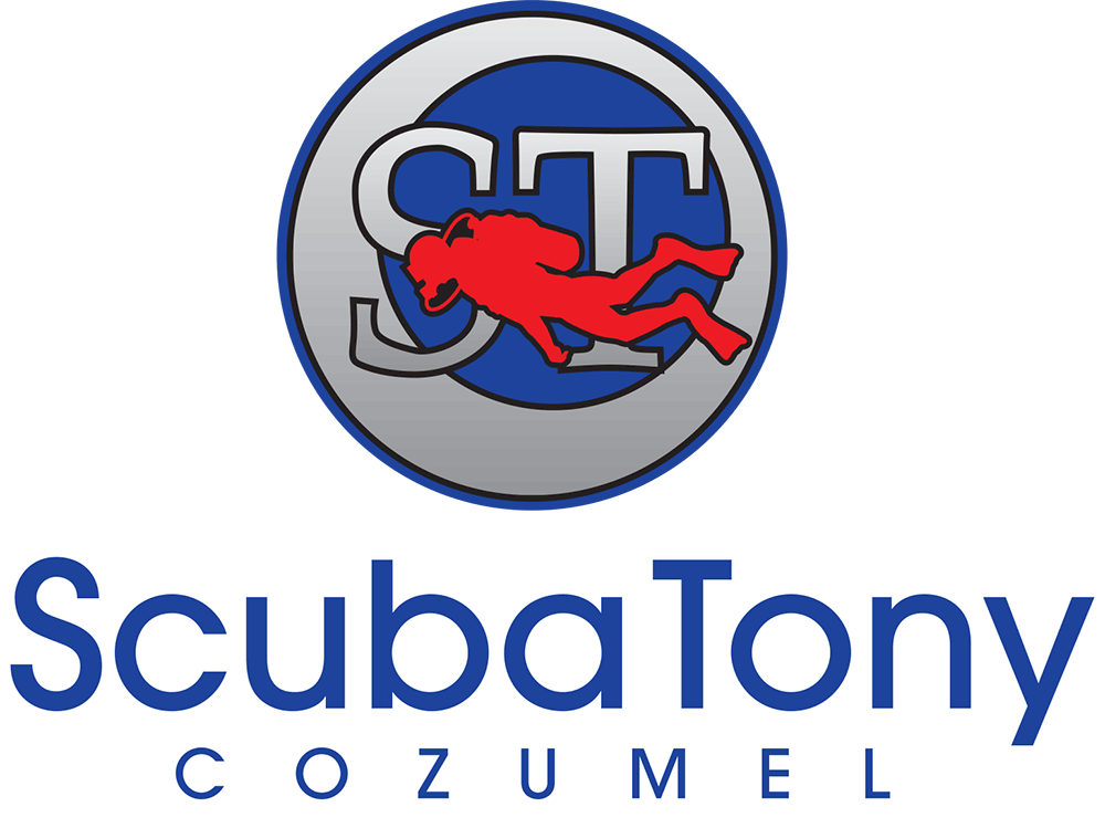 best dive shops in Cozumel