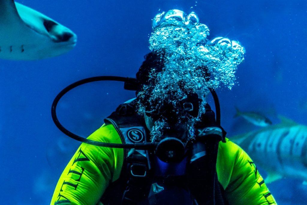 best time to dive Galapagos