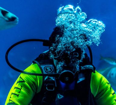 best scuba diving in Caribbean for beginners