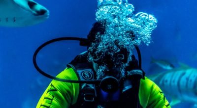 best scuba diving in Caribbean for beginners