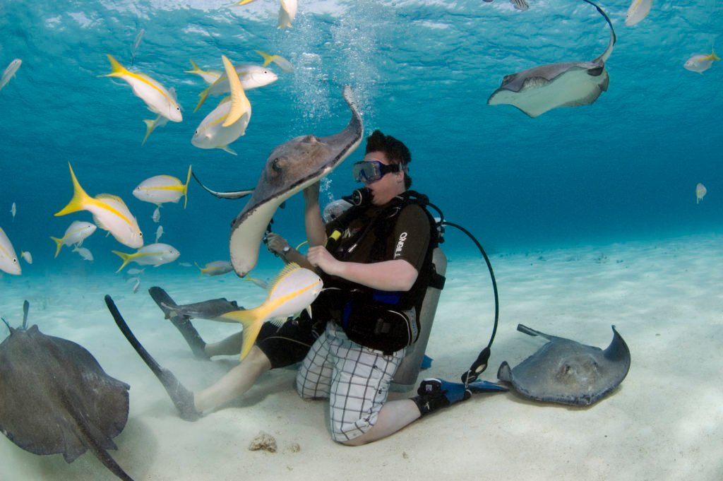 best scuba diving in Caribbean for beginners