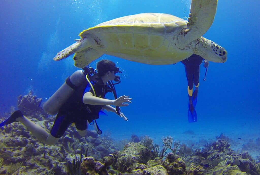 best scuba diving places in the world