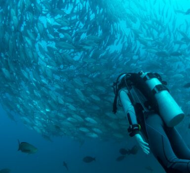 why scuba diving is dangerous