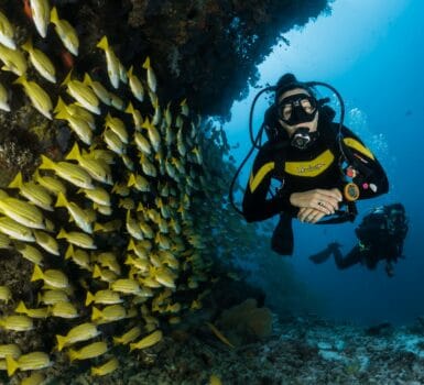 best scuba diving places in world