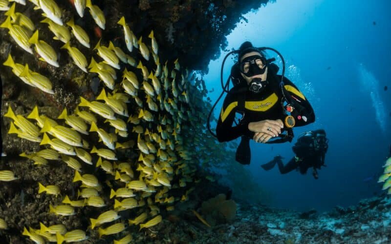 best scuba diving places in world