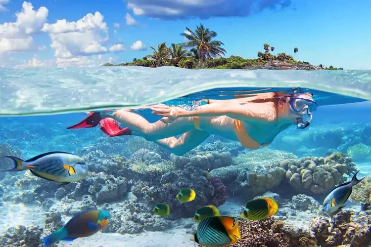 is snorkeling better in the morning or afternoon
