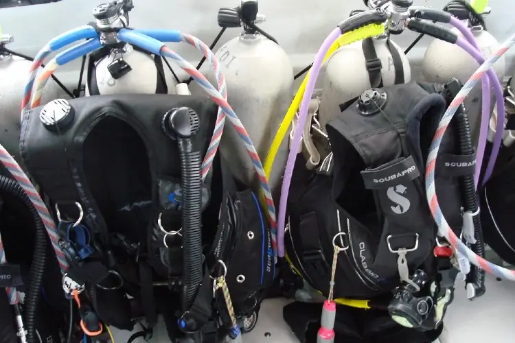 how much to scuba dive