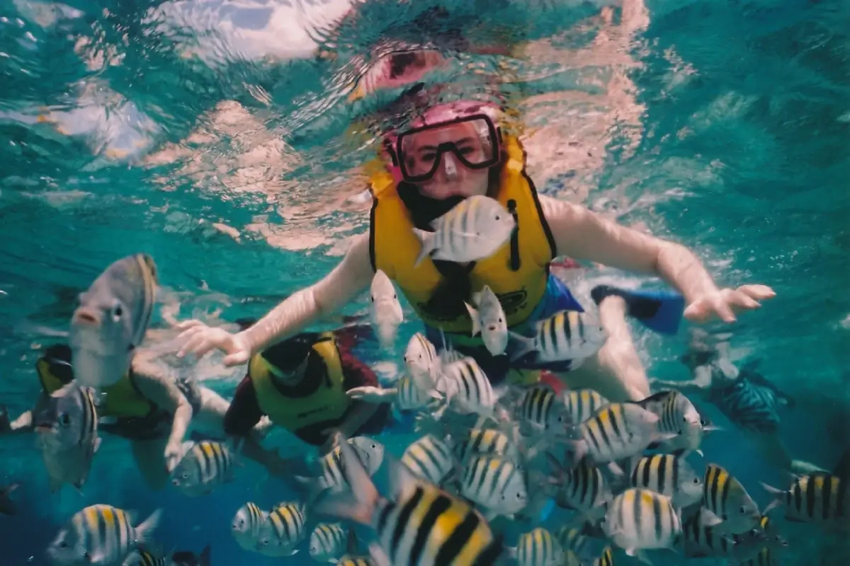 does snorkeling require training